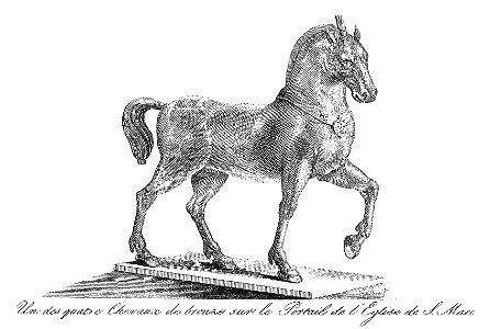 Quadri-Moretti, Piazza San Marco (1831), horse