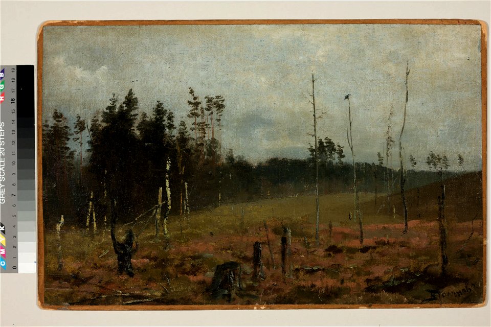 Põlenud mets, Vassili Polenov, TKM TR 1639 M 339