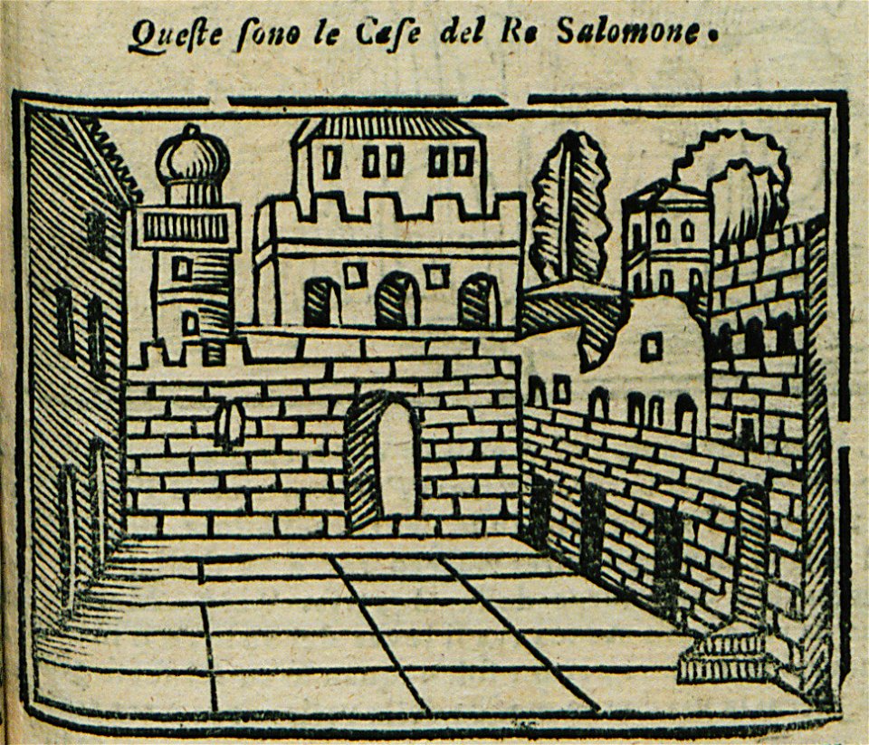 Queste sono le case del Re Salomone - Bianco Noe - 1600