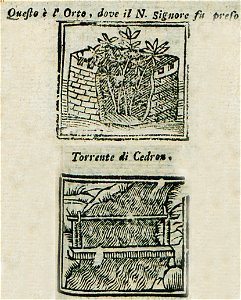 Questo è l'Orto, dove il N Signore fu preso Torrente di Cedron - Bianco Noe - 1600