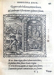 Quare adolescens, utere senex (BM 1972,U.11.35)