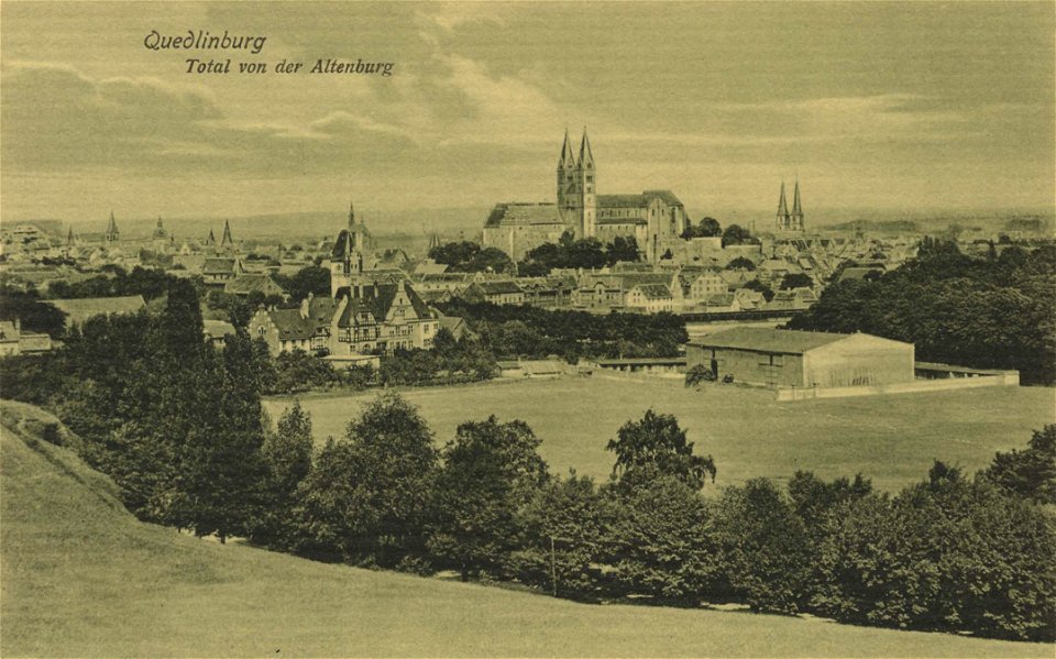 Quedlinburg, Sachsen-Anhalt - Stadtansicht von der Altenburg (Zeno Ansichtskarten)
