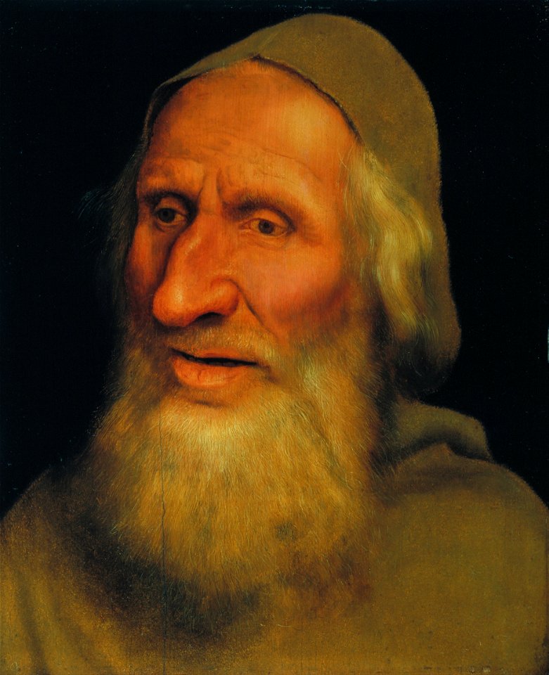 Quinten Metsys - Head of an Old Man - Google Art Project