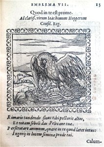 Quod in te est, prome (BM 1972,U.11.7)