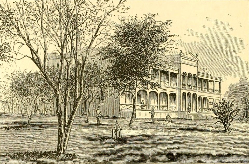 Queen's Hospital illustration, c. 1870s