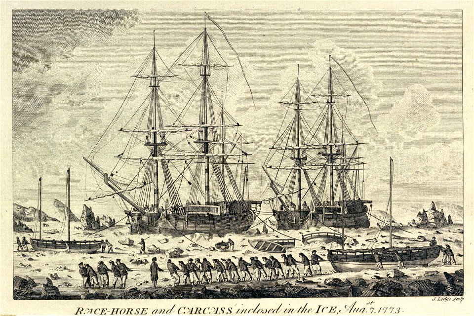 Race-horse and Carcass inclosed in the ice, Augst 7 1773 RMG PU5964