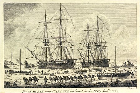 Race-horse and Carcass inclosed in the ice, Augst 7 1773 RMG PU5964