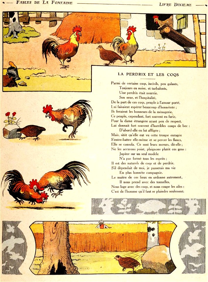 Rabier - Fables de La Fontaine - La Perdrix et les Coqs