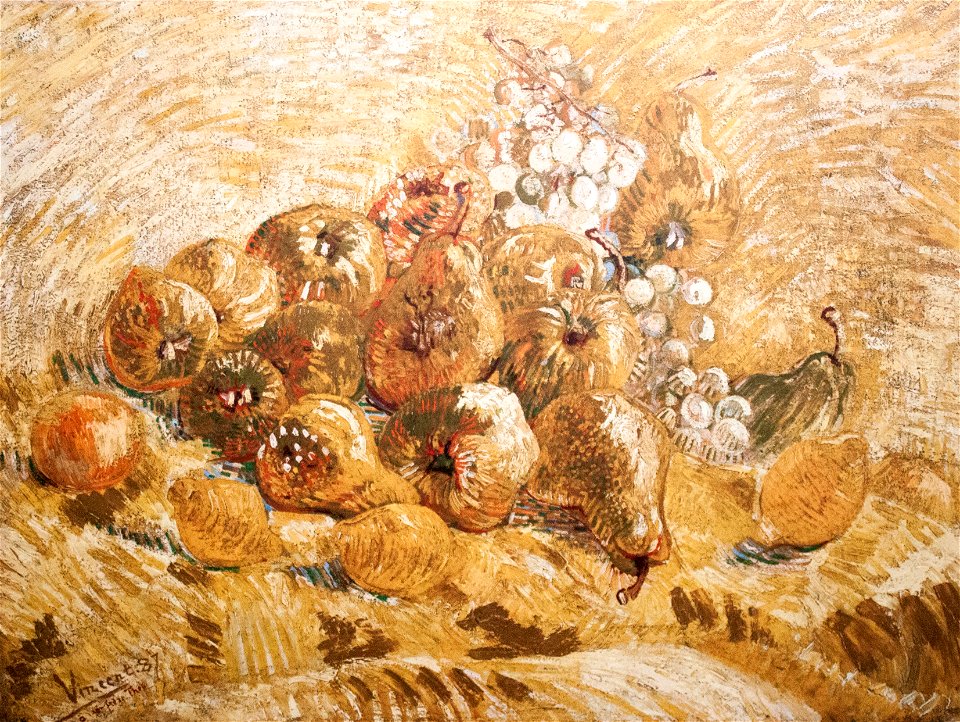 Quinces, Lemons, Pears and Grapes - My Dream