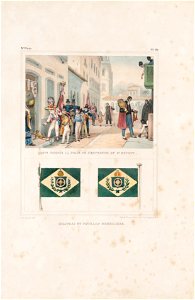 Quete nommée la folie de l´Empereur du St. Esprit - Drapeau et pavillon bresiliens, da Coleção Brasiliana Iconográfica