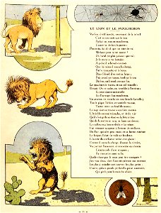 Rabier - Fables de La Fontaine - Le Lion et le Moucheron