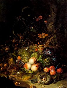 Rachel Ruysch - Flowers, Fruit, and Insects - WGA20554