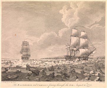 Racehorse and Carcass forcing thruogh the ice