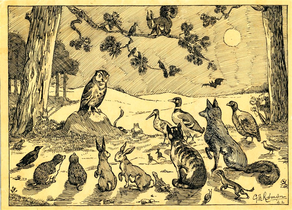 Raad der dieren (G.Th. Rotman)