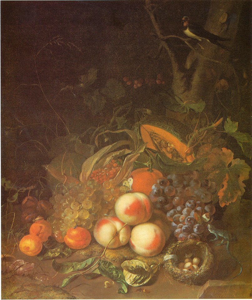 Rachel Ruysch - Fruit still life with a bird's nest and lizard