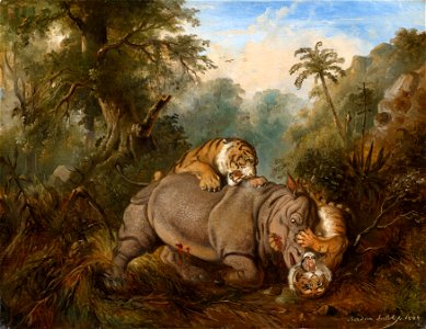 Raden Sarief Bustaman Saleh - Fight between a Javanese rhinoceros and two tigers