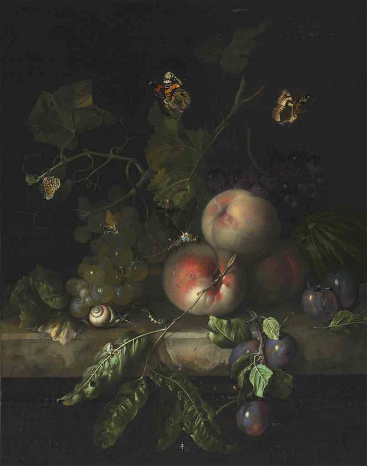 Rachel Ruysch - Peaches grapes and plums with a dragonfly snail and caterpillar