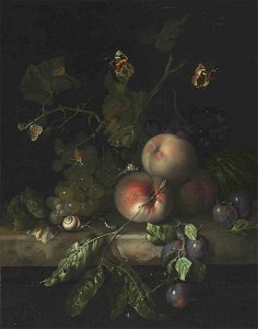 Rachel Ruysch - Peaches grapes and plums with a dragonfly snail and caterpillar