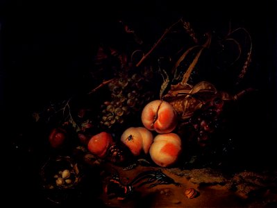 Rachel Ruysch - Still-Life with Fruit and Insects - WGA20557