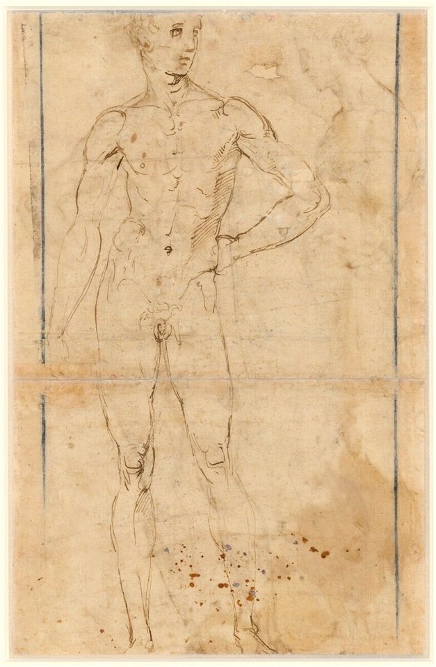 Raffaello - Stehender Männerakt, 117v