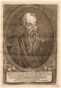 Radziwiłł (born 1366)