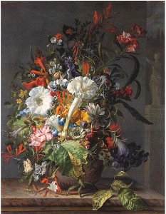 Rachel Ruysch - Honeysuckle, Sweet Peas, Trumpet Lilies, Peonies, Hyacinths, Passion and other Flowers, a Pineapple and a Cactus in an Boettger Urn with Butterfly on a marble Ledge d185756x