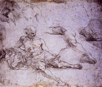 Raffaello Sanzio - Study of Diogenes for the School of Athens - WGA18927