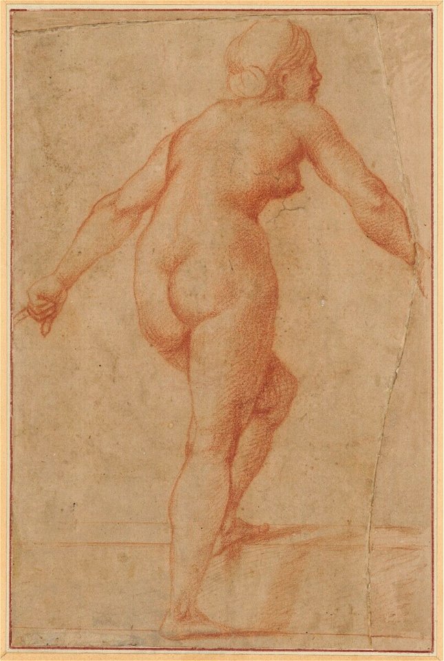 Raffaello - Weiblicher Rückenakt, eine Stufe hinaufsteigend, 17635