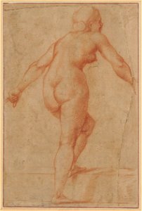 Raffaello - Weiblicher Rückenakt, eine Stufe hinaufsteigend, 17635