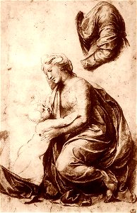 Raffaello, studio per la sacra famiglia di Francesco I