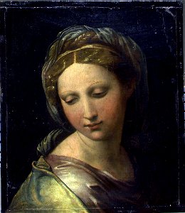 Raffaello Ritratto di donna. Free illustration for personal and commercial use.