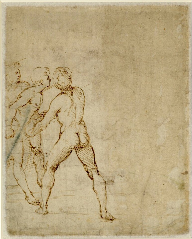 Raffaello - Gruppe von drei Männerakten in Angriffsstellung, 206v