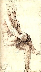 Raffaello Sanzio - Study for Adam - WGA18932