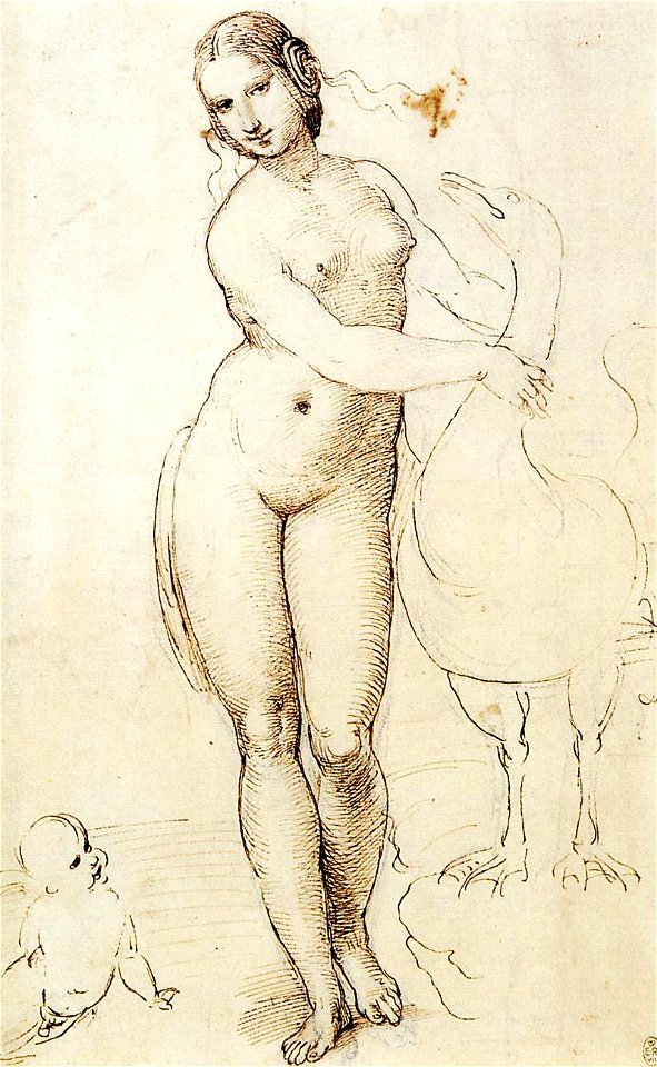 Raffaello, studio della leda e il cigno di leonardo