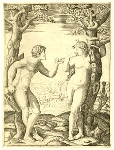Raimondi - Adam und Eva, DG201736879