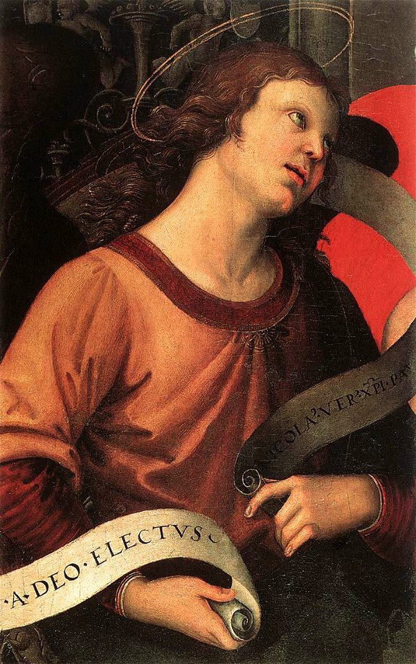 Raffaello Angelo 2 (frammento pala Baronci)