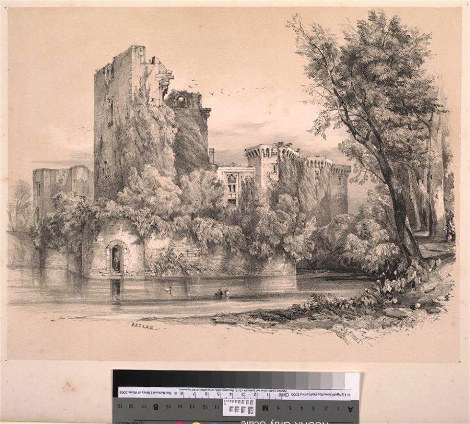Raglan Castle (1131778)