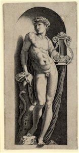 Raimondi - Apollo, DG1971346