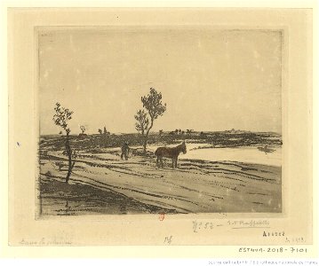 Raffaëlli - Le cheval dans la plaine, 3ème état, btv1b531870151