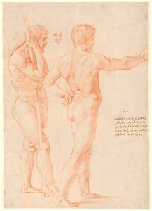 Raffaello - Two Studies of Male Nudes (Nude Studies), 17575