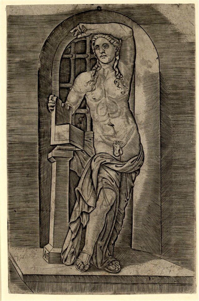 Raimondi - Apollo, DG1971342