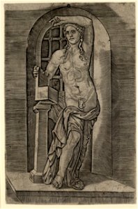 Raimondi - Apollo, DG1971342