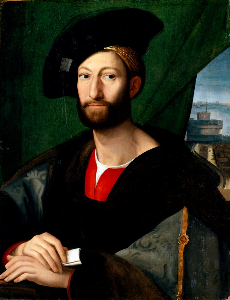 Raffaello, giuliano de' medici