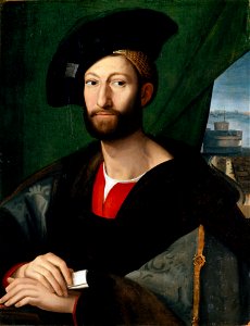 Raffaello, giuliano de' medici