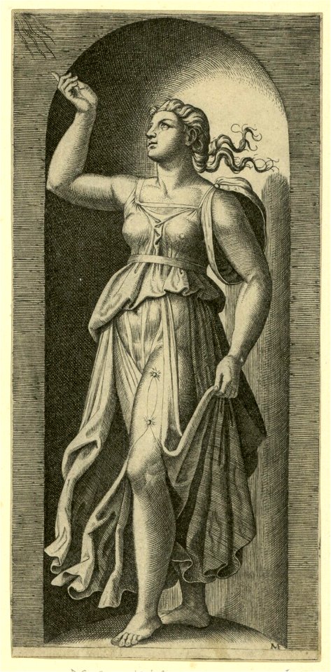 Raimondi - Fides, DG201736751