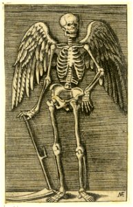Raimondi - Der Tod, DG201736963
