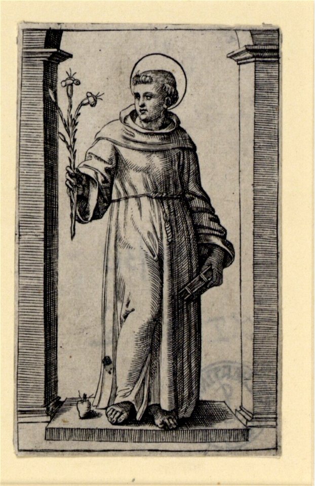 Raimondi - Heiliger Antonius von Padua, DG1970363
