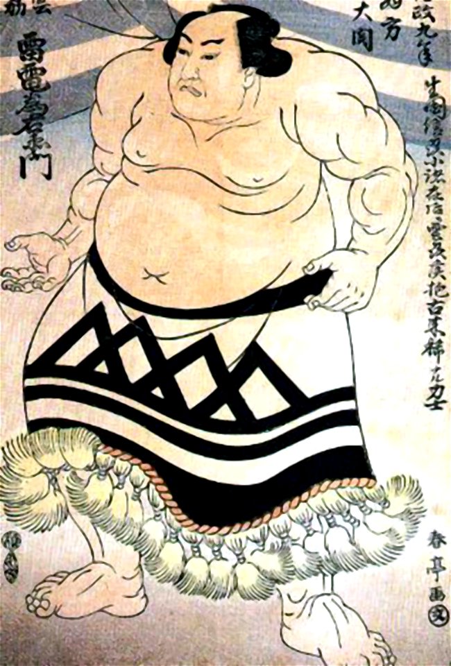 Raiden Tameimon