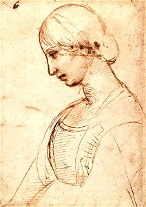 Raffaello, studio per la pala baglioni 07