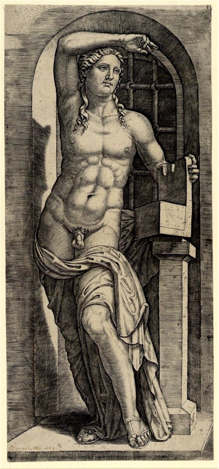 Raimondi - Apollo, DG1971344